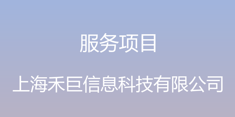 服务项目 - 上海禾巨信息科技有限公司